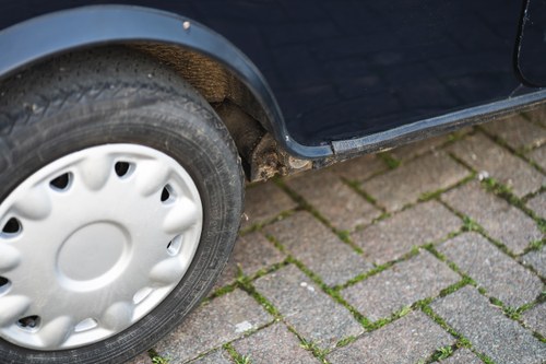 1993 Rover Mini Mayfair Automatic For Sale (picture 70 of 95)