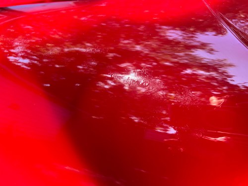 NO RESERVE - 2001 Rover Mini Seven (Retro Evocation) Te koop (foto 136 van 178)