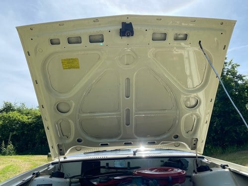 1980 Mitsubishi Sapporo GSL In vendita (immagine 195 di 261)