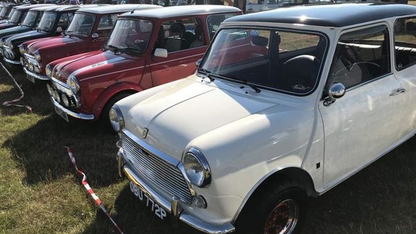 1974 Morris Mini (LHD) For Sale (picture :index of 16)