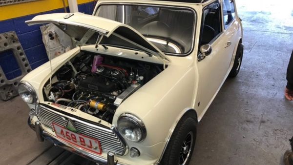 1974 Morris Mini (LHD) For Sale (picture :index of 15)