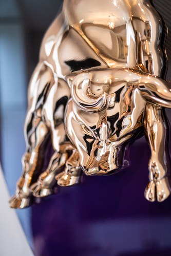 Carbon Lamborghini Shield à venda (imagem 9 de 24)