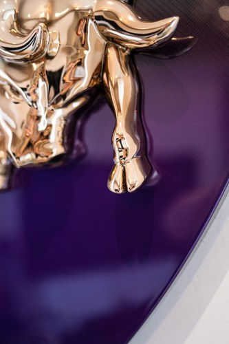 Carbon Lamborghini Shield à venda (imagem 10 de 24)