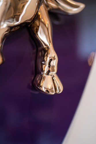 Carbon Lamborghini Shield à venda (imagem 16 de 24)