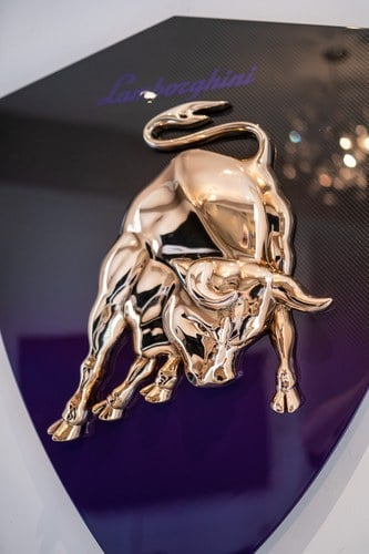 Carbon Lamborghini Shield à venda (imagem 15 de 24)