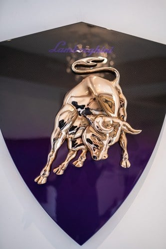 Carbon Lamborghini Shield à venda (imagem 5 de 24)