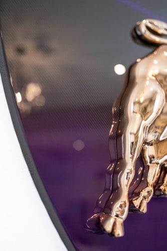 Carbon Lamborghini Shield à venda (imagem 21 de 24)