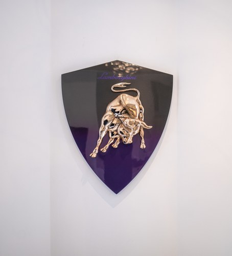 Carbon Lamborghini Shield à venda (imagem 1 de 24)