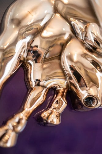 Carbon Lamborghini Shield à venda (imagem 20 de 24)