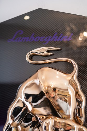 Carbon Lamborghini Shield à venda (imagem 18 de 24)