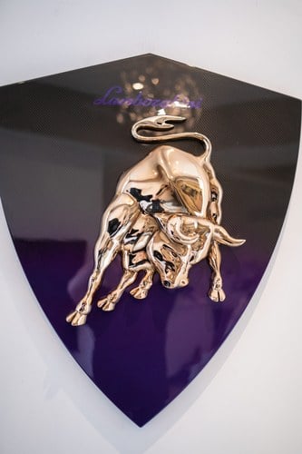 Carbon Lamborghini Shield à venda (imagem 7 de 24)