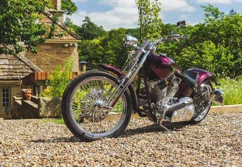 2010 ‘Cosmic King’ by Hawg Haven In vendita (immagine 3 di 55)