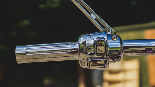 2010 ‘Cosmic King’ by Hawg Haven In vendita (immagine 12 di 55)