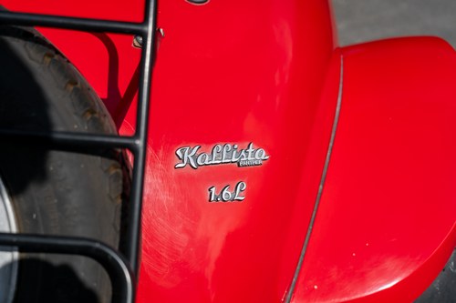 1984 Panther Kallista 1.6 Te koop (foto 73 van 145)