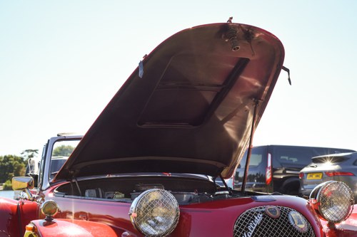 1986 PANTHER KALLISTA For Sale (picture 115 of 149)