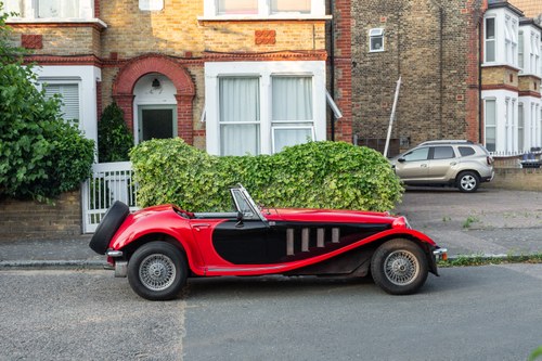 1979 Panther Lima In vendita (immagine 10 di 158)