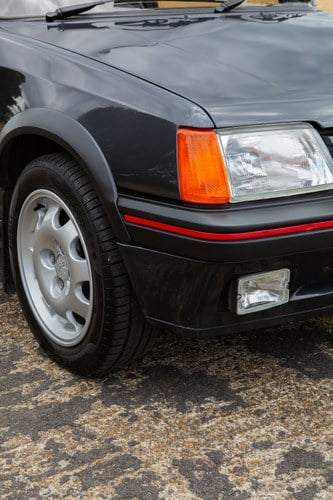 1989 Peugeot 205 GTI 1.9 In vendita (immagine 17 di 76)