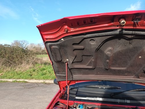 1988 Peugeot 205 GTI En venta (imagen 118 de 213)