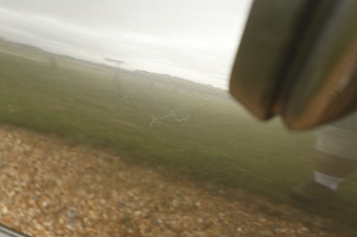 1983 Porsche 911 Carrera cabriolet till salu (bild 181 av 242)