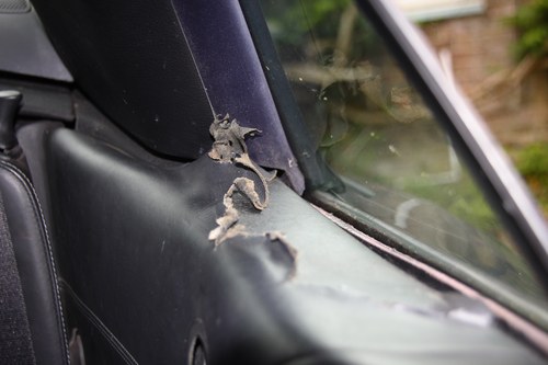 2004 Porsche 911 C4s cabrio (996) zum Verkauf (Bild 58 von 162)