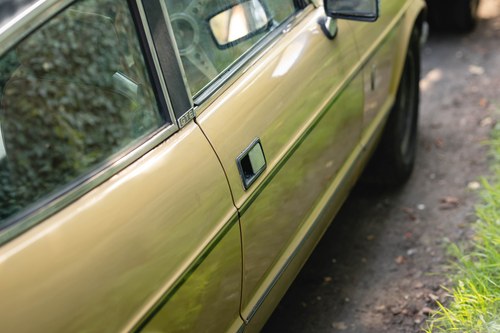 1980 Reliant Scimitar GTE6A Te koop (foto 44 van 131)