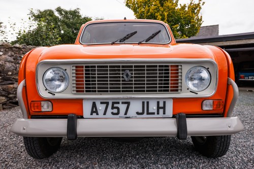 1984 Renault 4 GTL In vendita (immagine 18 di 233)