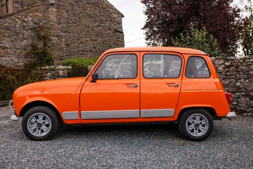 1984 Renault 4 GTL In vendita (immagine 19 di 233)