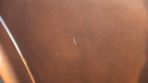 1977 Rolls-Royce Silver Shadow II Te koop (foto 146 van 215)