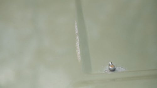 1973 Rover P6 2000TC In vendita (immagine 146 di 189)