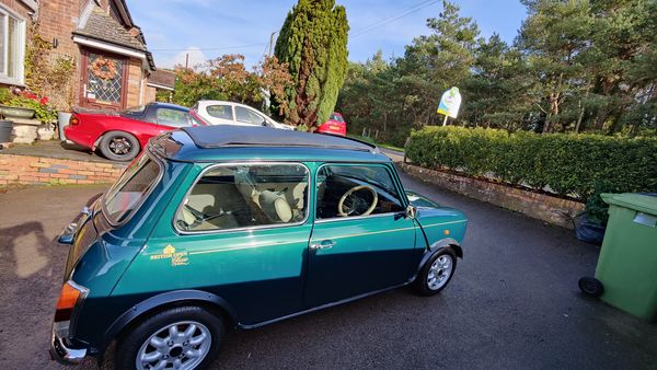 1993 Rover Mini British Open Edition For Sale (picture :index of 23)