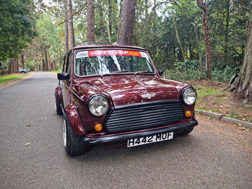 1990 Rover Mini (Mini7 tribute) Te koop (foto 7 van 105)