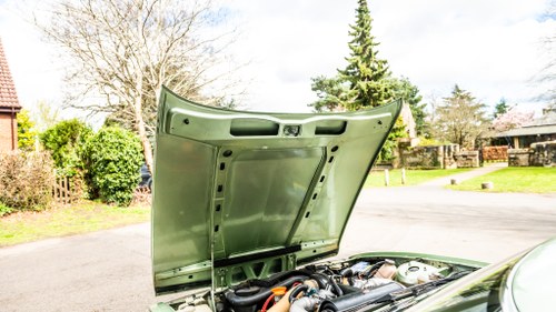 1984 Rover SD1 For Sale (picture 136 of 164)