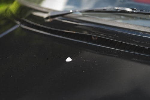 1980 Saab 99 Turbo In vendita (immagine 72 di 144)