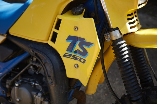 1988 Suzuki TSX250 till salu (bild 37 av 78)