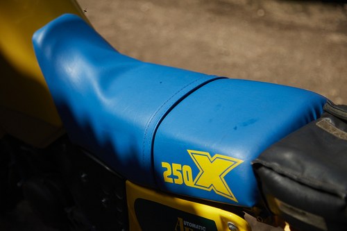 1988 Suzuki TSX250 till salu (bild 55 av 78)