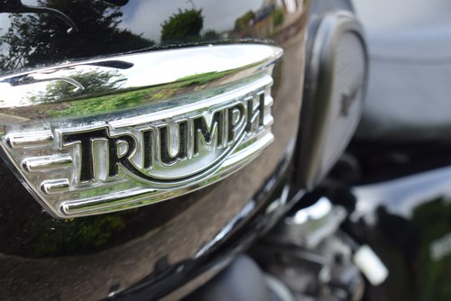 2013 Triumph Bonneville T100 En venta (imagen 29 de 62)