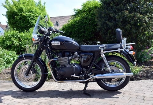 2013 Triumph Bonneville T100 En venta (imagen 6 de 62)
