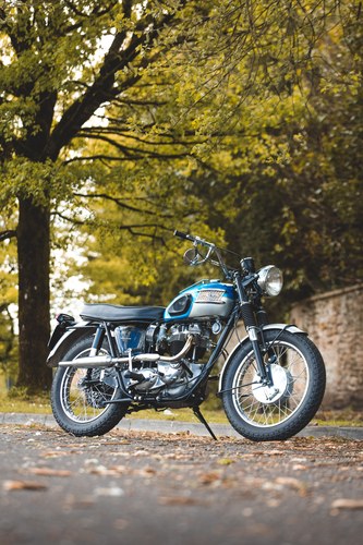 1964 Triumph Bonneville T120C zum Verkauf (Bild 17 von 62)