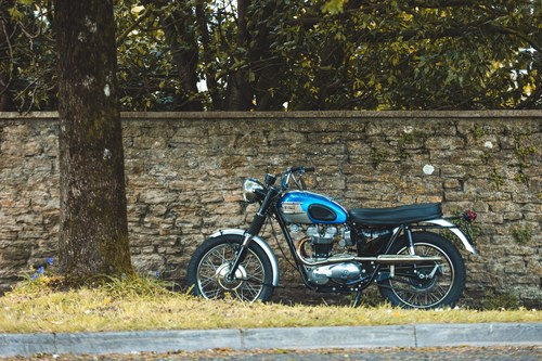 1964 Triumph Bonneville T120C zum Verkauf (Bild 12 von 62)