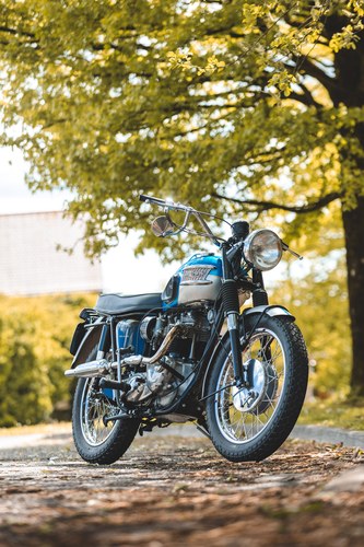1964 Triumph Bonneville T120C zum Verkauf (Bild 9 von 62)