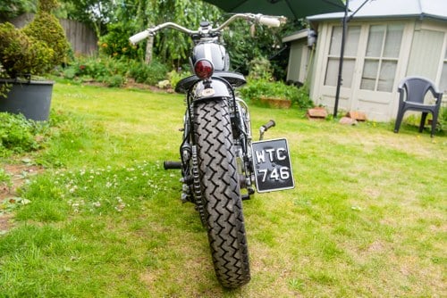 1954 Triumph T100 Pre-Unit Bobber Custom à vendre (picture 17 of 102)