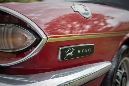 1975 Triumph Stag ‘Mk. 2’ In vendita (immagine 118 di 203)