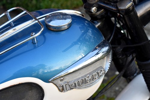 1967 Triumph Tiger 100 In vendita (immagine 42 di 80)