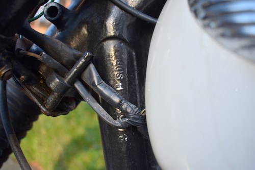 1967 Triumph Tiger 100 In vendita (immagine 56 di 80)