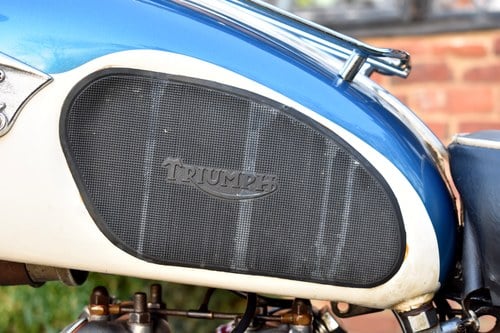 1967 Triumph Tiger 100 In vendita (immagine 48 di 80)