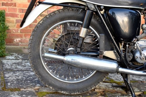 1967 Triumph Tiger 100 In vendita (immagine 19 di 80)