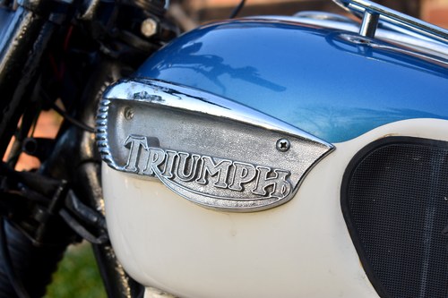 1967 Triumph Tiger 100 In vendita (immagine 45 di 80)