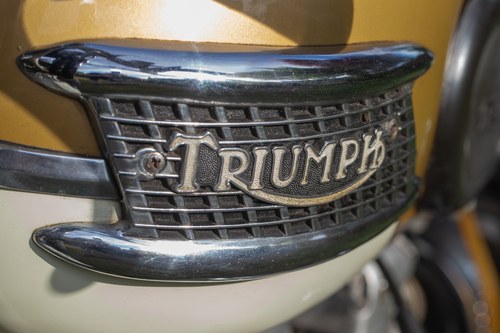 1964 Triumph Tiger 90 Te koop (foto 58 van 139)