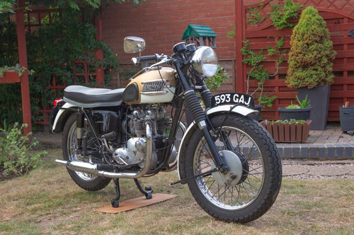 1964 Triumph Tiger 90 Te koop (foto 3 van 139)