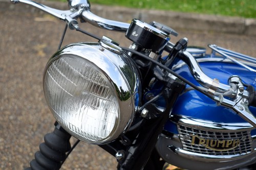 1962 Triumph Tiger T100SS For Sale (picture 36 of 97)